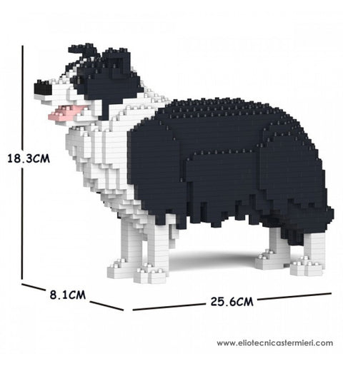 JEKCA BORDER COLLIE 01S-M01
