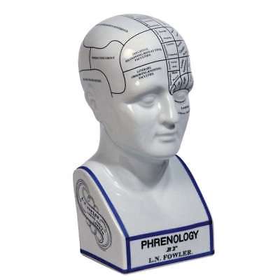 PHRENOLOGY HEAD ART MG020