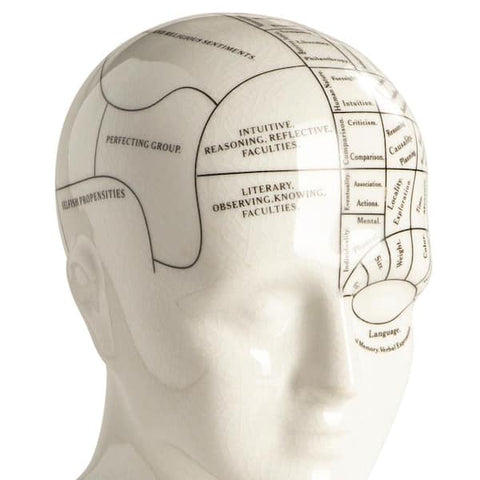 PHRENOLOGY HEAD ART MG020