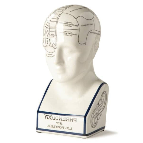 "AUTHENTIC MODELS PHRENOLOGY HEAD ART MG024"